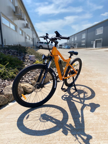 Bicicletă electrică ZTECH ZT-85 Matra 250W 36V 12Ah